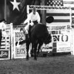 A good bull ride at the Mesquite Rodeo. Mesquite, TX