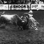 A rodeo clown at work at the Mesquite Rodeo, Mesquite, TX