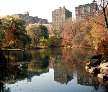 Central Park. New York City Central Park. New York City